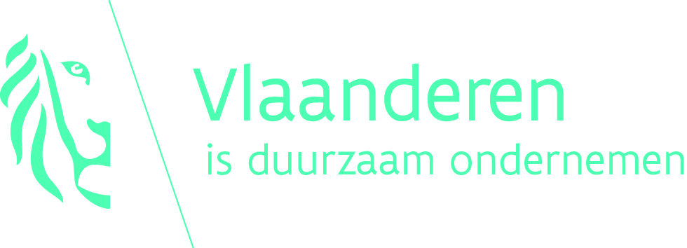 logo Vlaanderen is duurzaam ondernemen kleur JPG