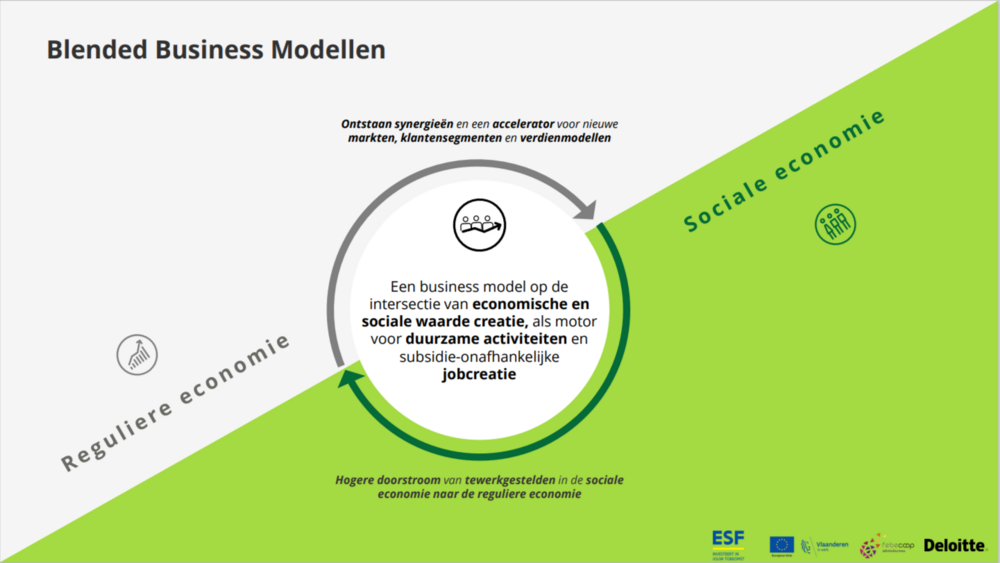schema Blended Business Models